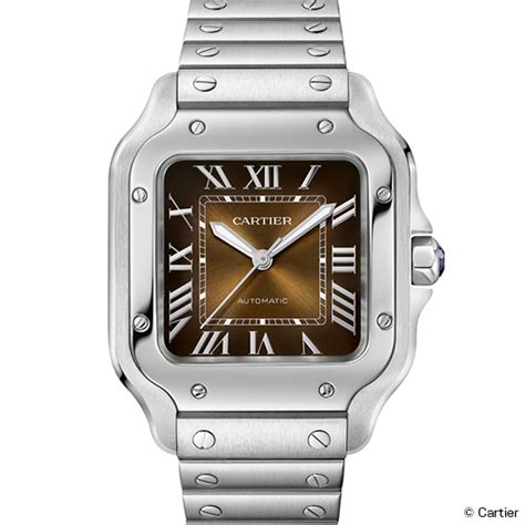 prezzo cartier 57069|cartier santos price.